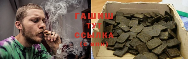 гидра Абаза