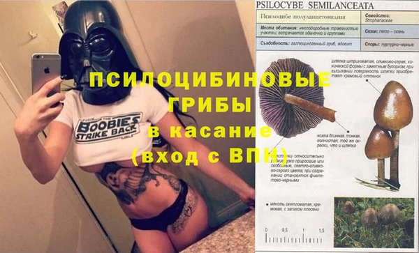 эйфоретик Абдулино