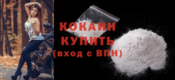 гидра Абаза