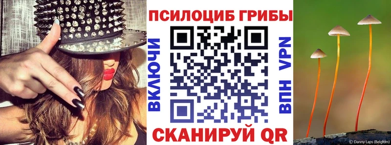 Псилоцибиновые грибы Cubensis где найти наркотики OMG как войти Ряжск